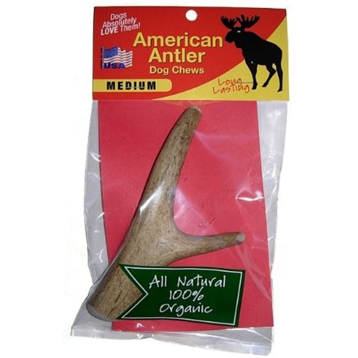 American Antler